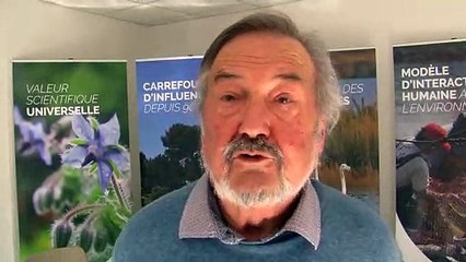 L'étang de Berre avance vers le Patrimoine mondial de l'Unesco