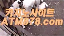 く라이브카지노주소 ┣─▶ｔｔｓ３３２，coM◀─┫