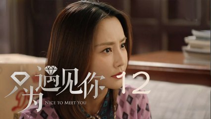 只為遇見你 12  Nice To Meet You 12【TV版】（張銘恩、文詠珊、魏千翔等主演）