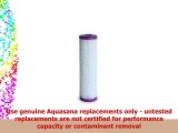 Aquasana Replacement 035 Submicron PostFilter for Whole House Water Filter Systems