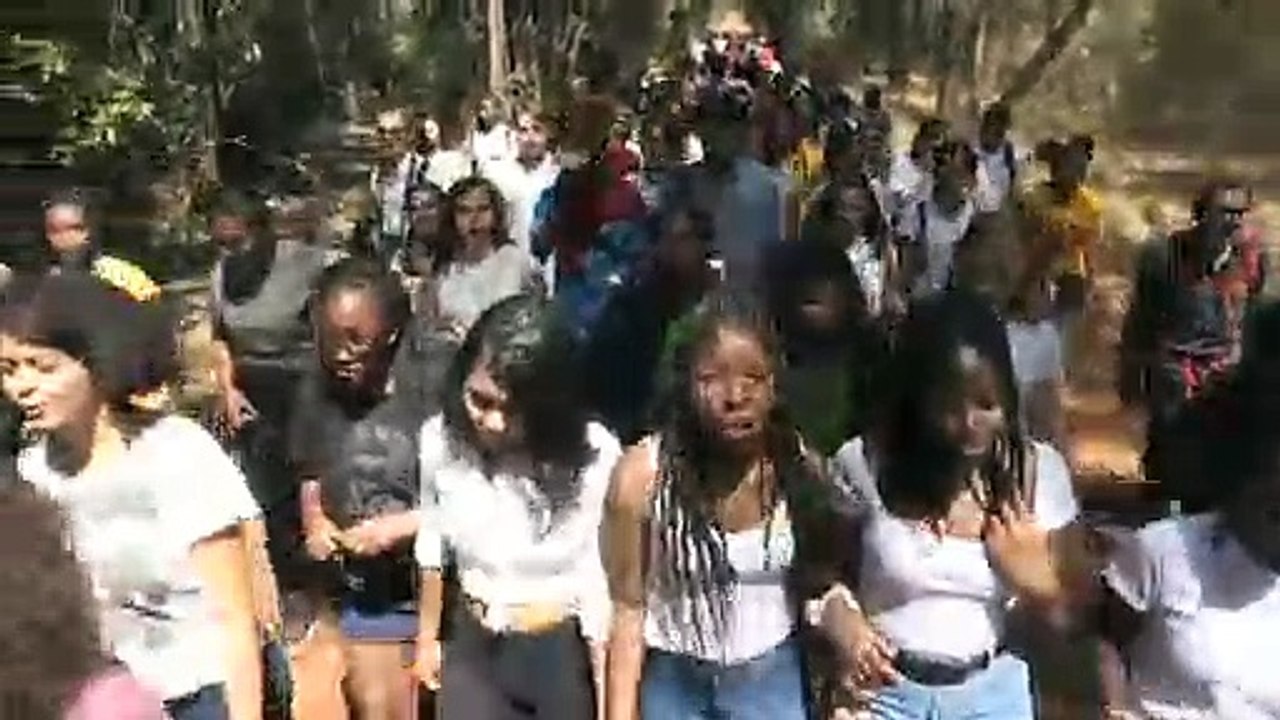 Greve estudantil internacional