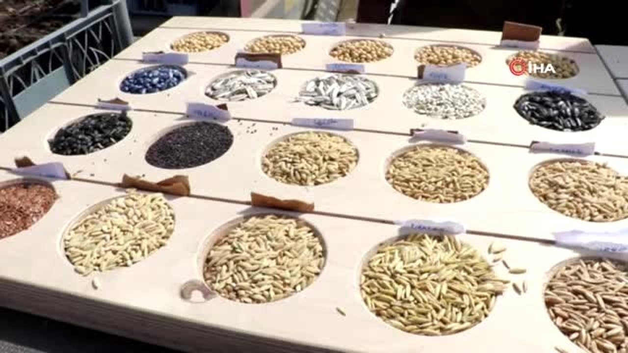 Edirne'de 1. Tohum Takas Şenliği Gerçekleşti