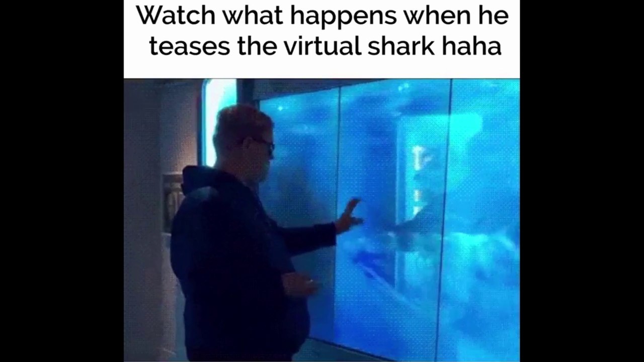 Funny Shark Attack Virtual