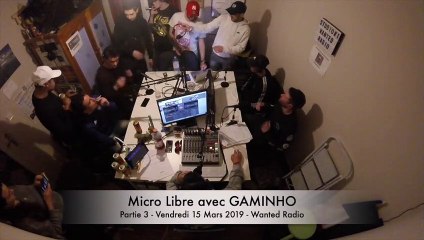 Micro Libre avec GAMINHO, partie 3