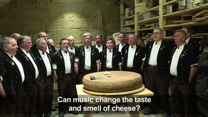 Cheesy listening: study says tunes change Emmental's taste