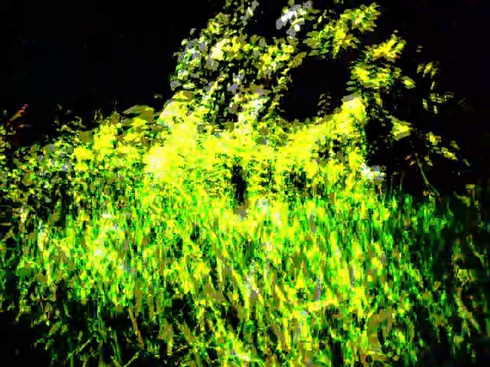 spirita vindicta-the field has been reaped