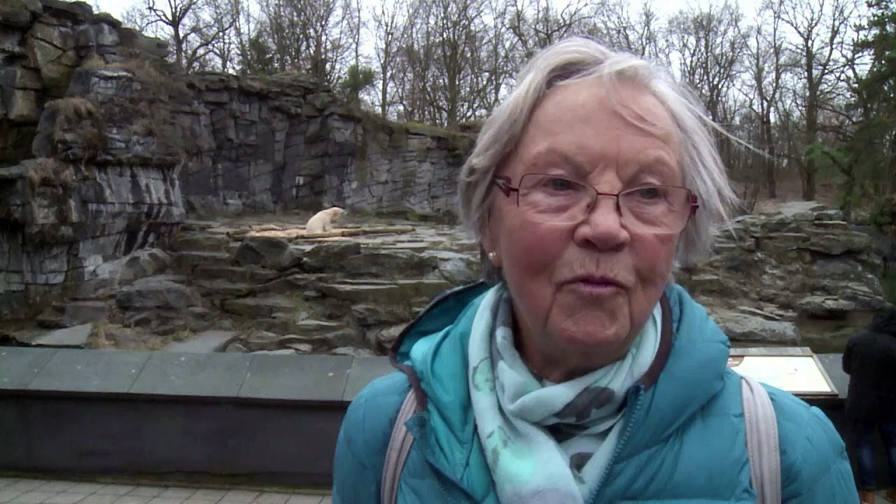 Für Eisbär-Junges beginnt der 'Ernst des Lebens'