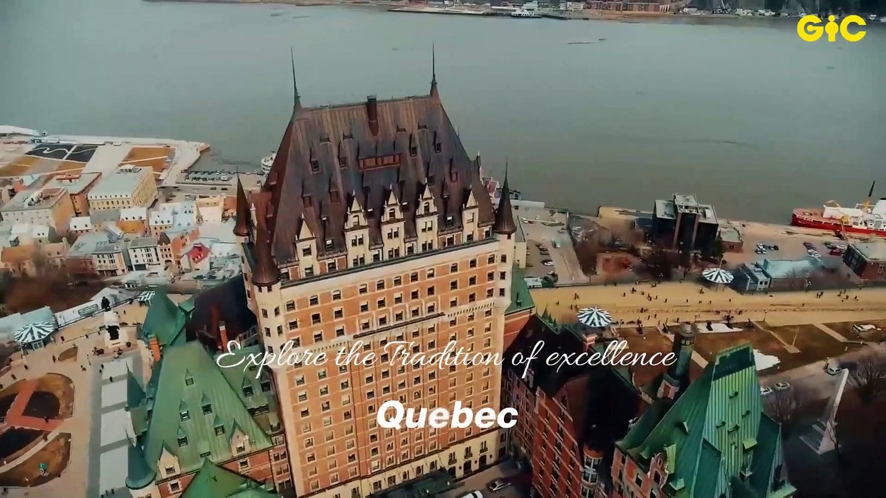 where will you go - Motion Graphics and Video E...