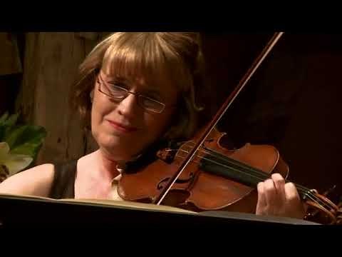 Schubert: Grand Duo for Violin and Piano in A Major, D 574 // Hibrow Music