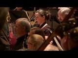 Mahler: Symphony No. 5 - V. Rondo-Finale. Allegro // Royal Liverpool Philharmonic / Vasily Petrenko