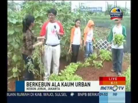 8-11 Show: Berkebun ala Kaum Urban (4) | Metro TV