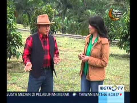 Sudut Pandang: Hidup Muda ala Abdul Latief (4) | Metro TV