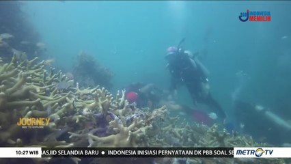 Merawat Pulau Seribu (3)