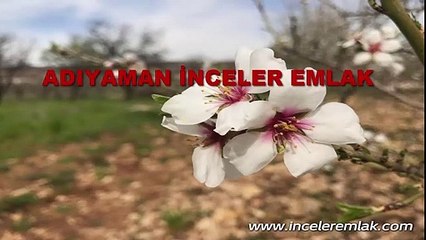 Burası Adıyaman Satılık Dairelerde ilkbahar şenliği