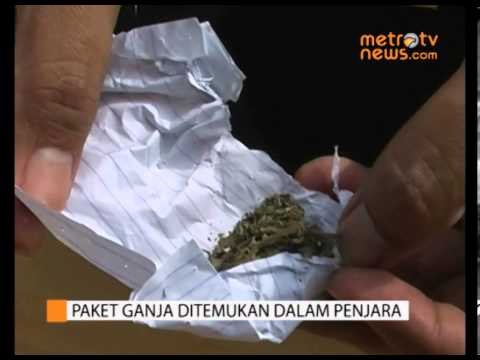 Puluhan Paket Ganja Ditemukan di Lapas Kalianda