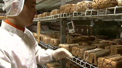 [청년 농부가 미래다] "나는야 억대 된장남" / YTN