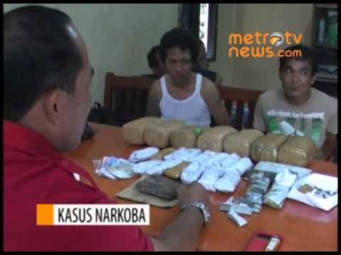 Polisi Bengkulu Tangkap Pemilik 8 Kg Ganja