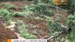 Lahan Seluas 1,5 Hektare Di Gunung Wilis Longsor