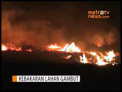 Lahan Gambut Terbakar, Warga Evakusai Harta Benda