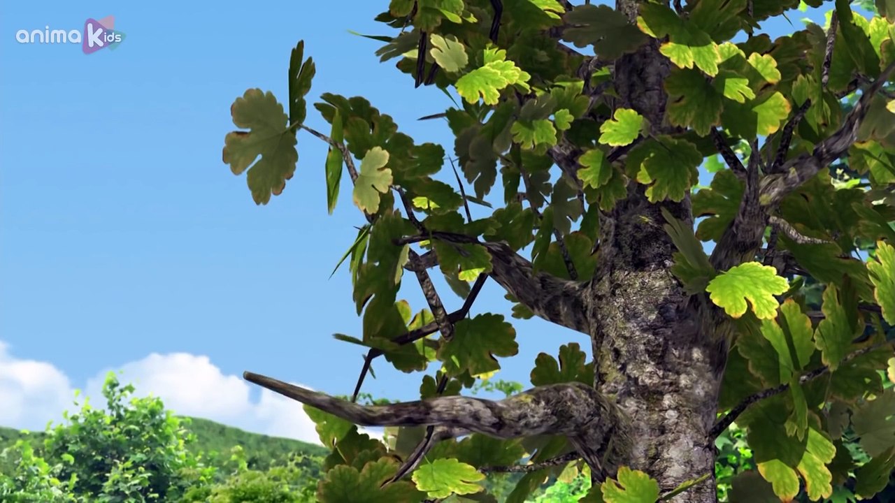 Bernard Bear | Le Vilain Singe | Bernard l'Ours | Dessin animé pour les enfants |