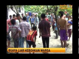 Buaya Liar Hebohkan Warga Desa Tanjung Lipat