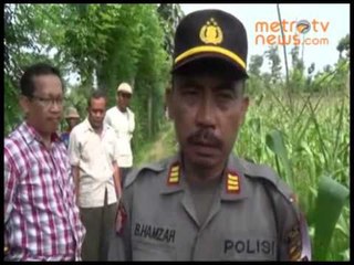 Tewas, Setelah Mencuri Tiga Batang Kayu Jati