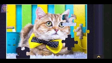 ᴴᴰ Jigsaw Puzzles - Cat Wearing A Bow Tie, Fallow Deer In A Forest, Adorable Rabbit, Papillon Dog