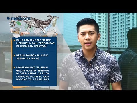 Nenek Peluk Jokowi Hingga Sampah Plastik Penjemput Maut | #SepekanTerakhir (Eps. 37)