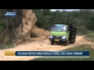 Puluhan Hektar Sawah Beralih Fungsi Jadi Lokasi Tambang
