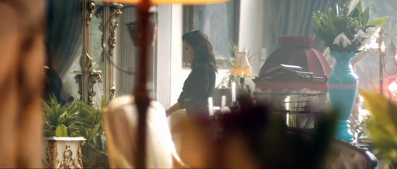 Ebru Gündeş - Gidiniz