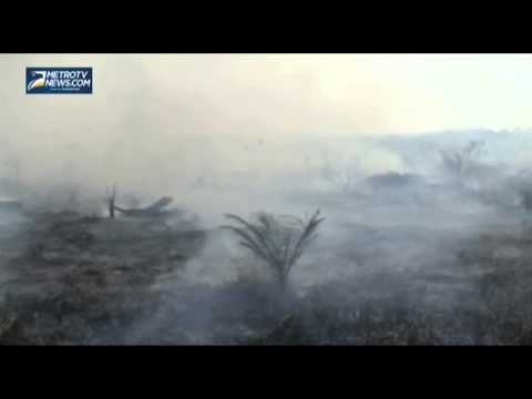 Lima Hektare Lahan Gambut Terbakar