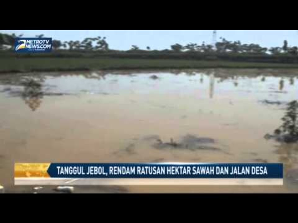 Tanggul Jebol Rendam Ratusan Hektar Sawah dan J...