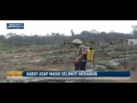 Kabut Asap masih Selimuti Wilayah Merangin