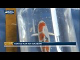 Kontes Ikan Koi Sukabumi