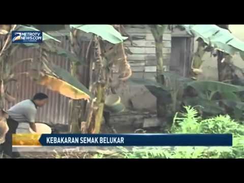 Ratusan Hektar Lahan Tidur Semak Belukar Terbakar