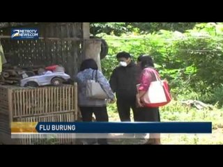 Ratusan Ayam di Karanganyar Mati Mendadak Akibat Flu Burung