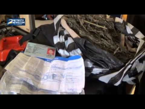 Polisi Tangkap Pengedar Ganja di Cianjur