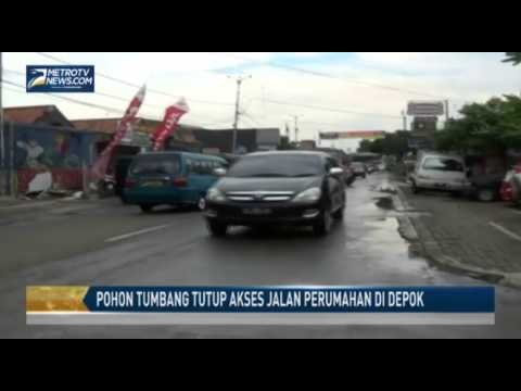 Pohon Tumbang Tutup Akses Jalan Perumahan di Depok