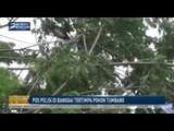 Pos Polisi di Banggai Tertimpa Pohon Tumbang