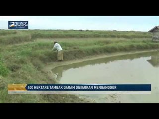 400 Hektare Tambak Garam Dibiarkan Menganggur