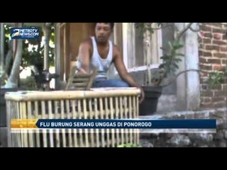 Flu Burung Serang Unggas di Ponorogo