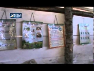 Kondisi Sekolah Dasar Negeri 6 Bingin Teluk Memprihatinkan