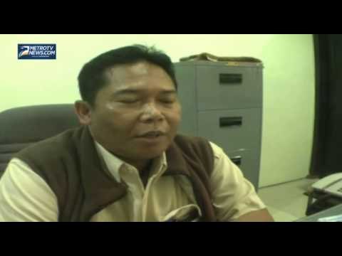 Terkendala Harga Tinggi, Penyerapan Beras Bulog Anjlok