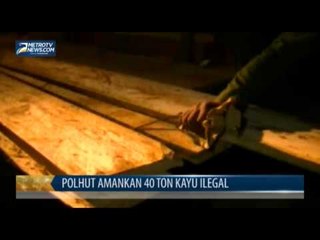Polhut Amankan 40 Ton Kayu Ilegal