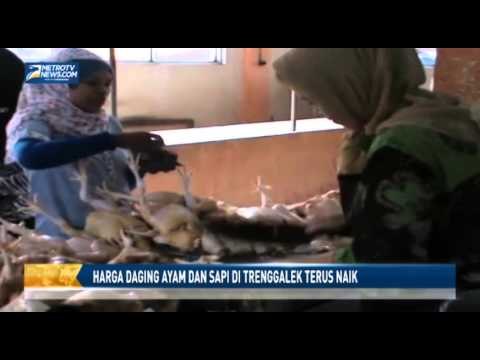 Harga Daging Ayam dan Sapi di Trenggalek Terus Naik
