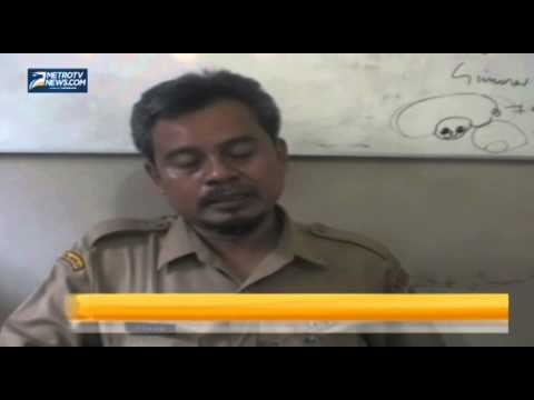 Harga Kedelai Naik Akibat Stok Langka