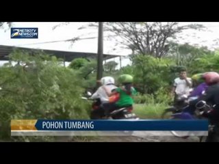 Hujan dan Angin Kencang, Pohon Bertumbangan
