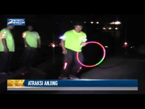 Pawai dan Atraksi Unik Anjing