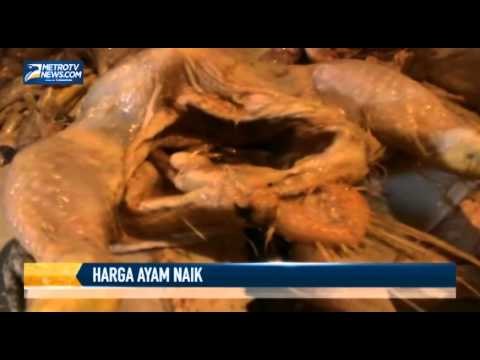 Harga Daging Ayam di Banten Tembus Rp35 Ribu/Kg