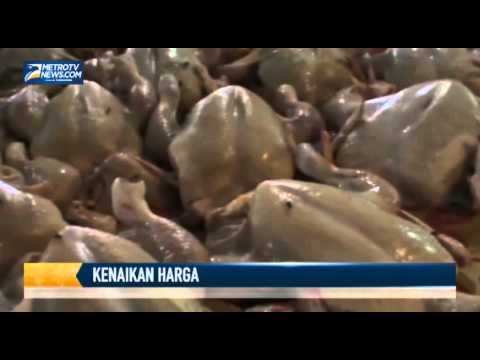 Harga Daging Sapi dan Ayam di Palembang Naik